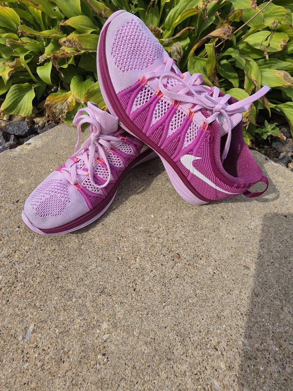 Nike Women’s Flyknit Running Shoe - Pink